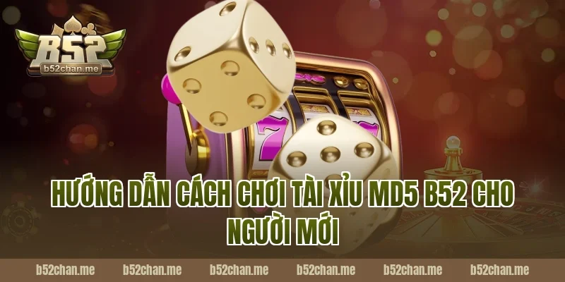 Hướng Dẫn Cách Chơi Tài Xỉu MD5 B52 Cho Người Mới