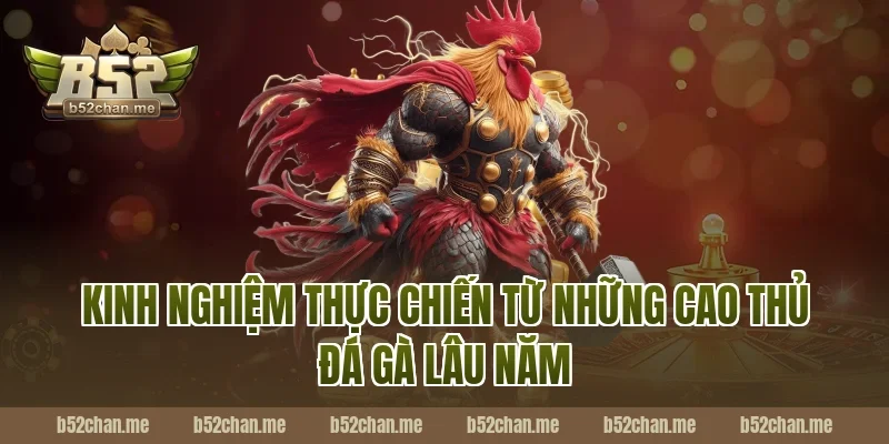 Kinh Nghiệm Thực Chiến Từ Những Cao Thủ Đá Gà Lâu Năm Tại B52