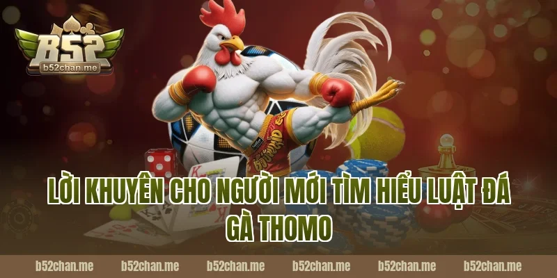 Lời khuyên cho người mới tìm hiểu luật đá gà thomo B52