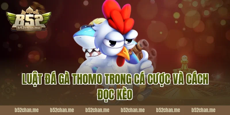Luật đá gà thomo trong cá cược và cách đọc kèo tại B52