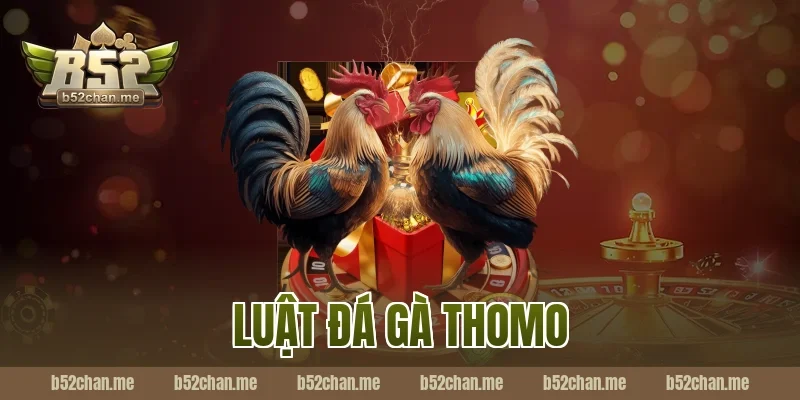 luật đá gà thomo