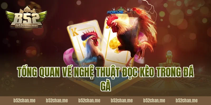 Tổng Quan Về Nghệ Thuật Đọc Kèo Trong Đá Gà Tại B52